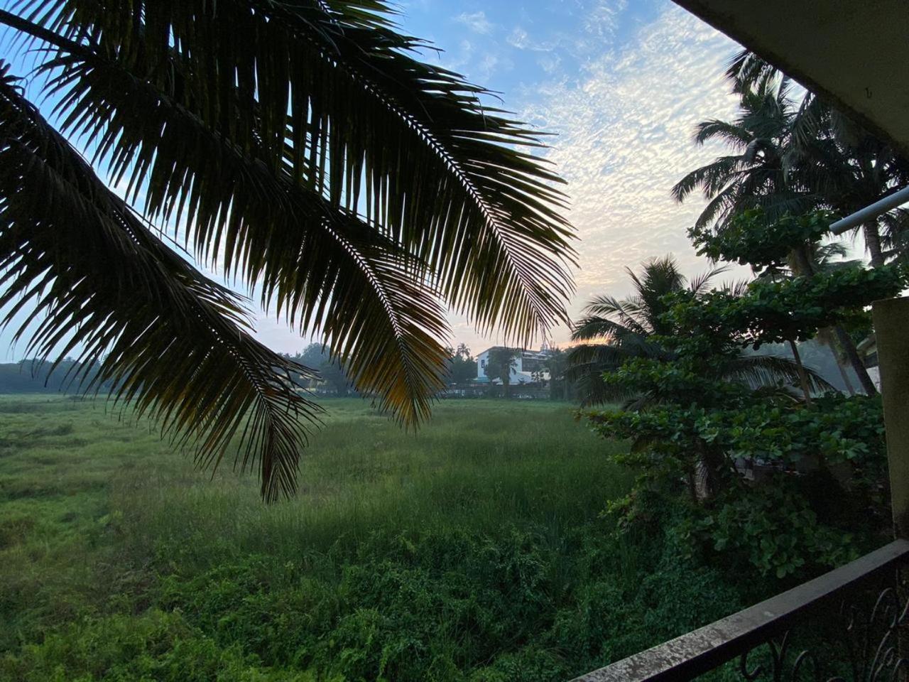 Green Field View Hotel Candolim Exterior photo