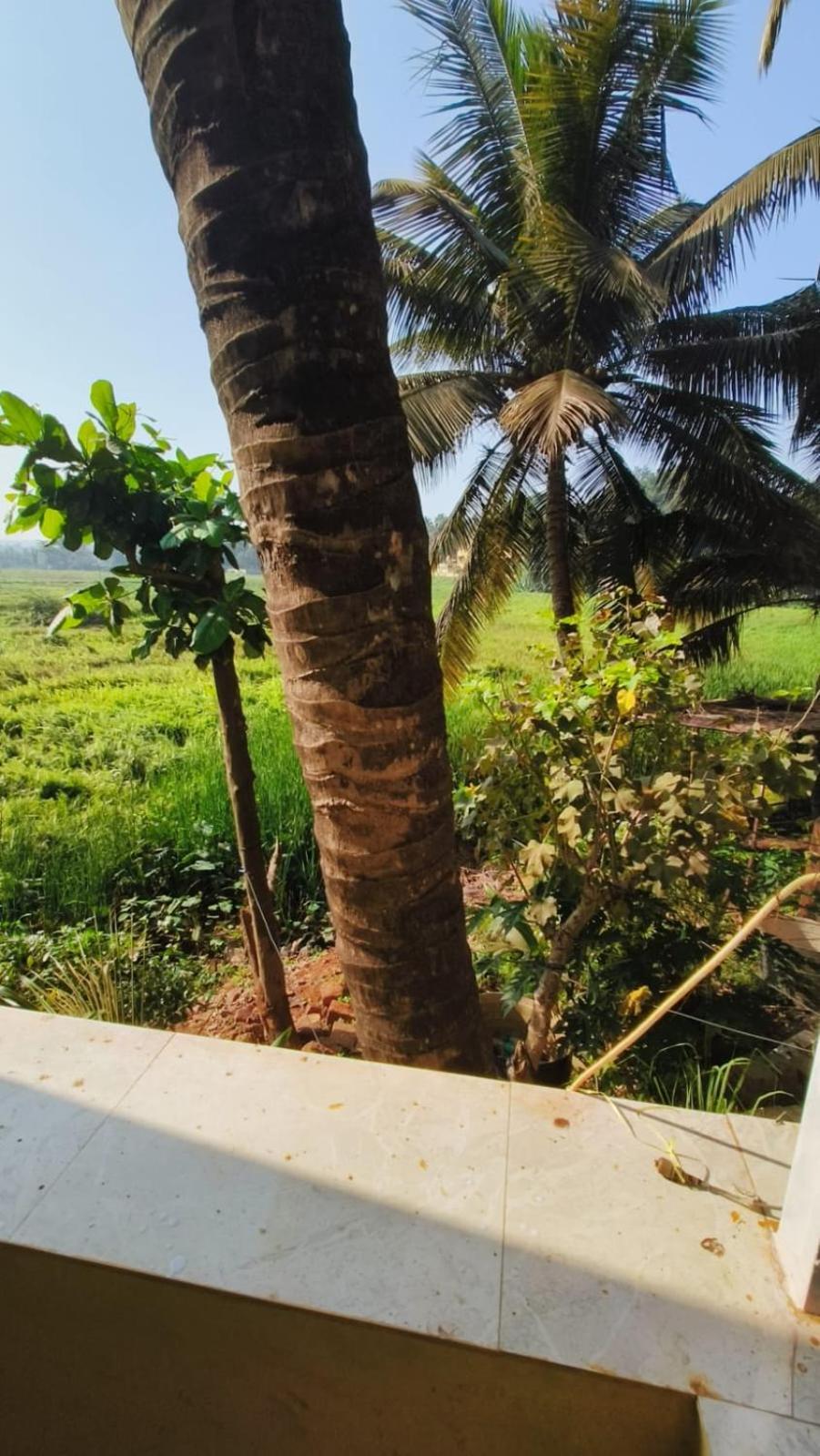 Green Field View Hotel Candolim Exterior photo