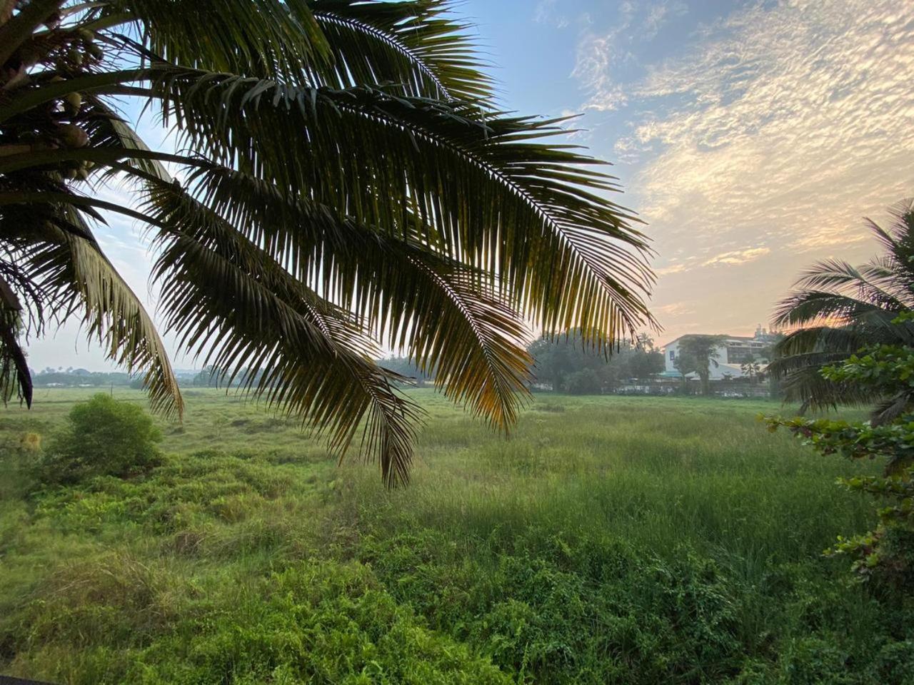 Green Field View Hotel Candolim Exterior photo